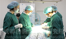 ר�ҽ�������