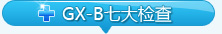 gx-b�ߴ���